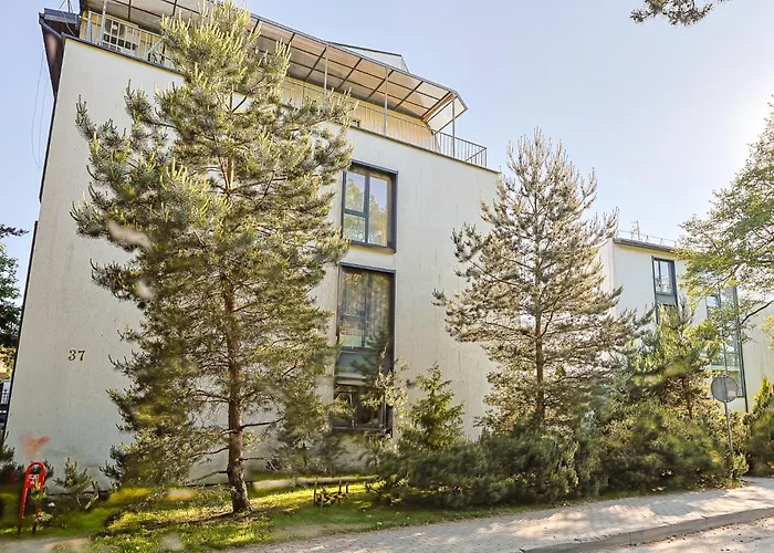 Oasis * Паланга